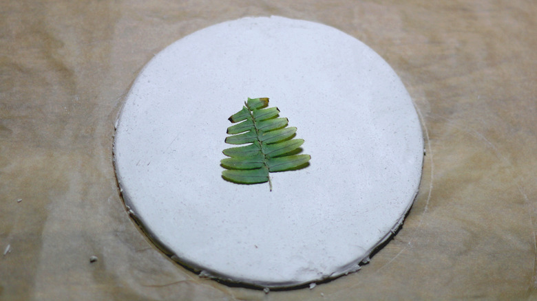 A coaster made from clay with a fern clipping pressed into the top