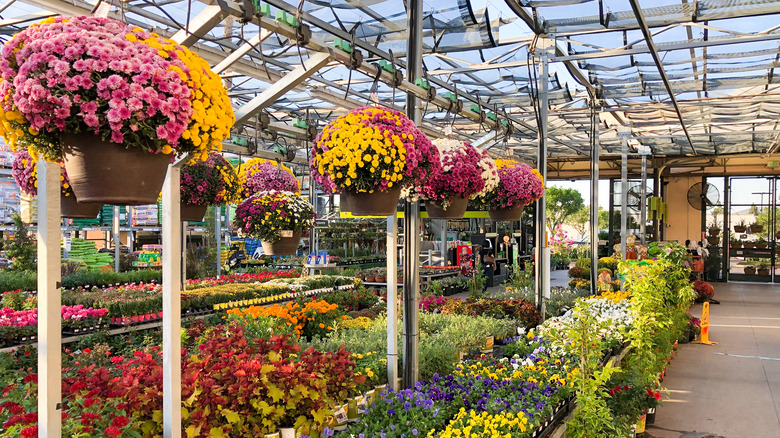 Home Depot garden section