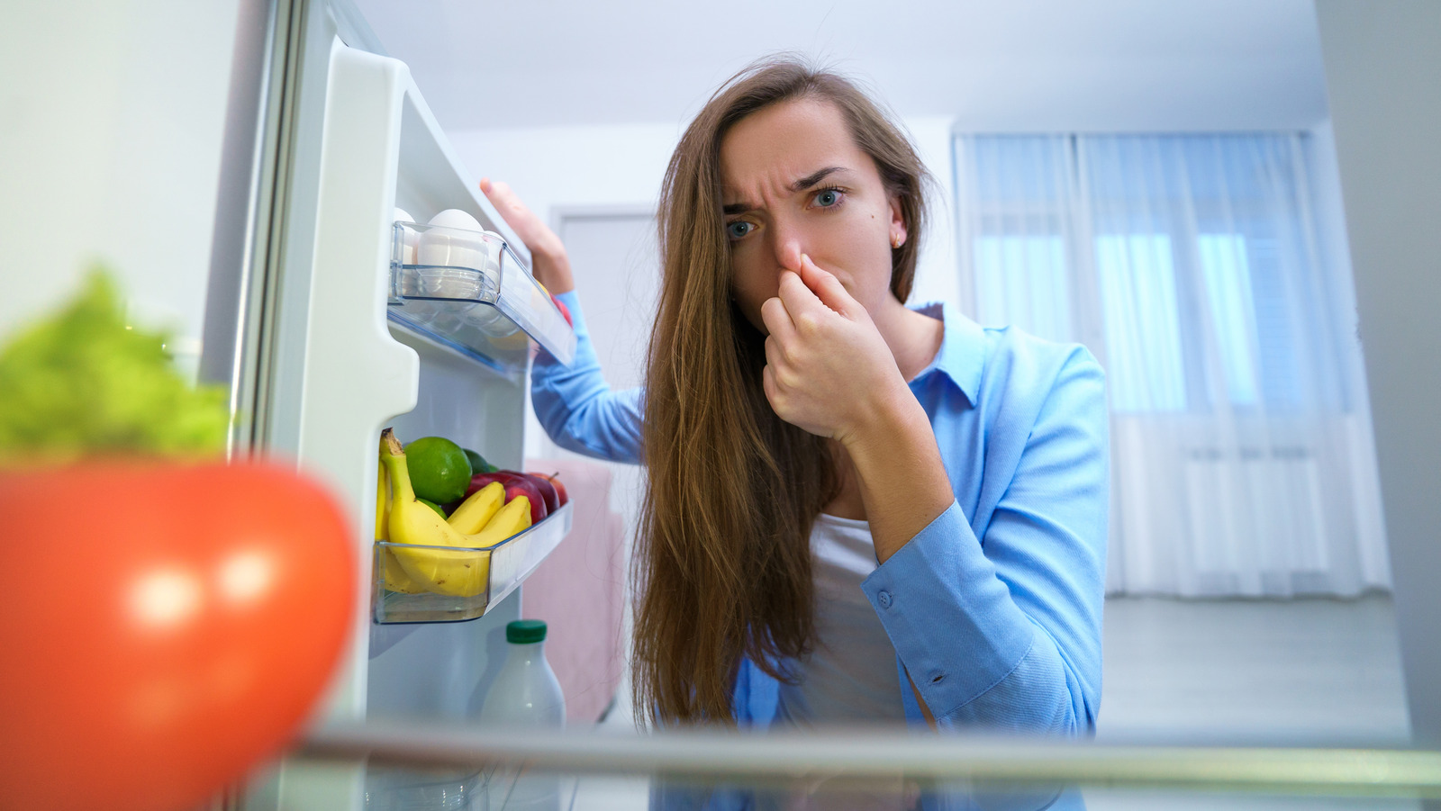 Deodorize Your Smelly Fridge With An Item You Already Have In Your Kitchen