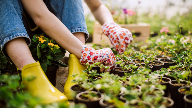 Woman gardening with gloves on