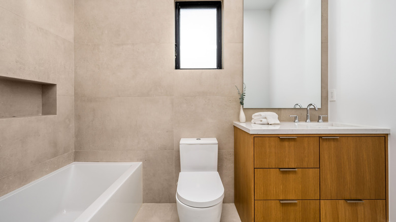 Brown, plain small bathroom