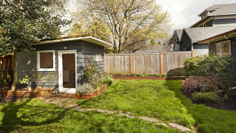 backyard with shed