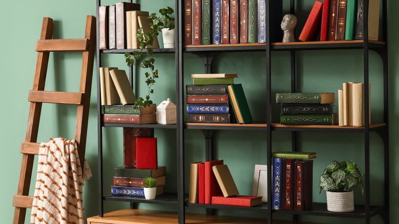 Books, plants, and art objects are stacked on open wooden shelves.