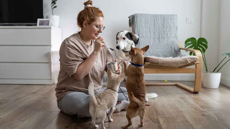 woman with three dogs