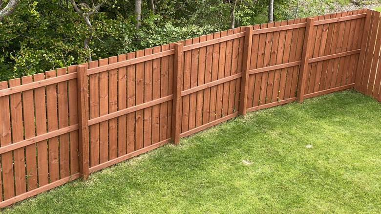 A backyard wooden fence separating a forest from a lawn