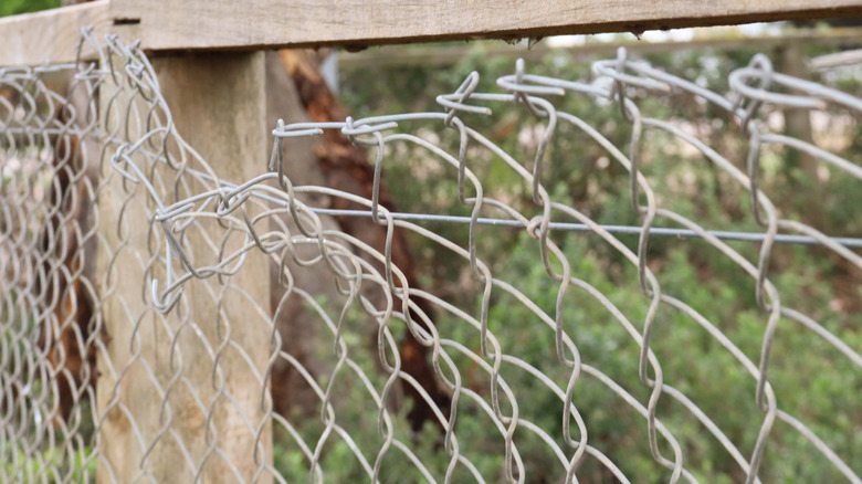 A damaged chain link fence