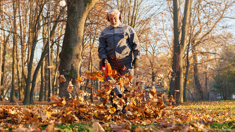 A man using a leaf blower in a large yard