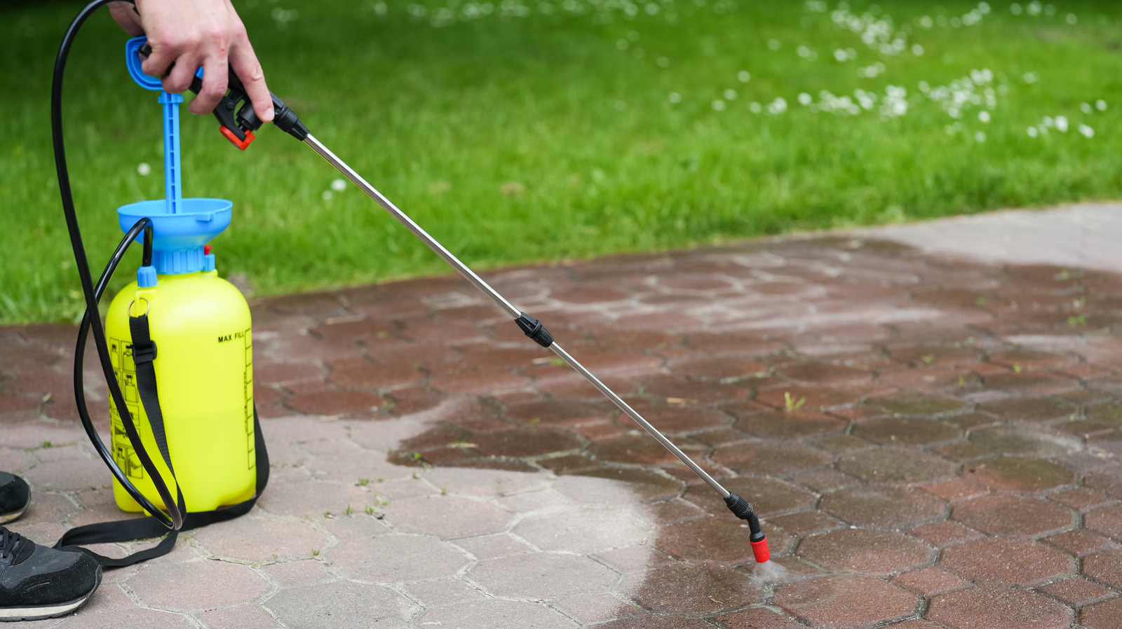 Disadvantages Of Using Vinegar In The Garden (& What To Use Instead)