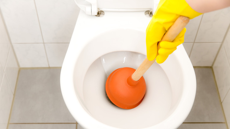 Hand plunging toilet