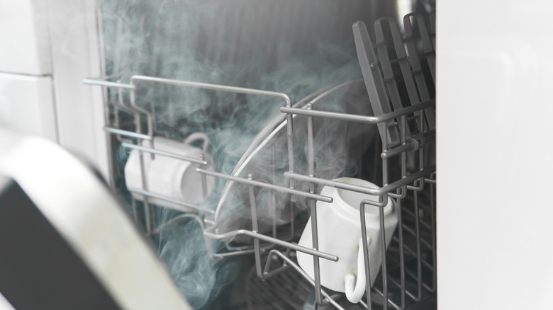 Open dishwasher with steam