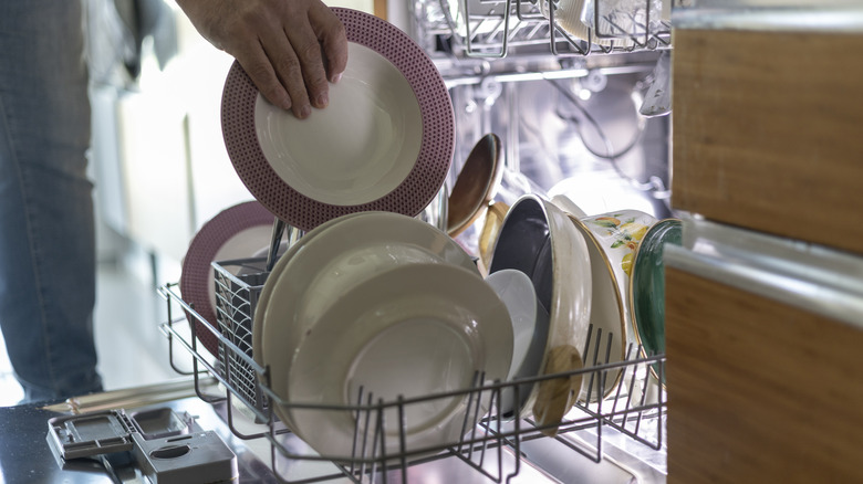 Person taking clean plate from bottom of dishwasher
