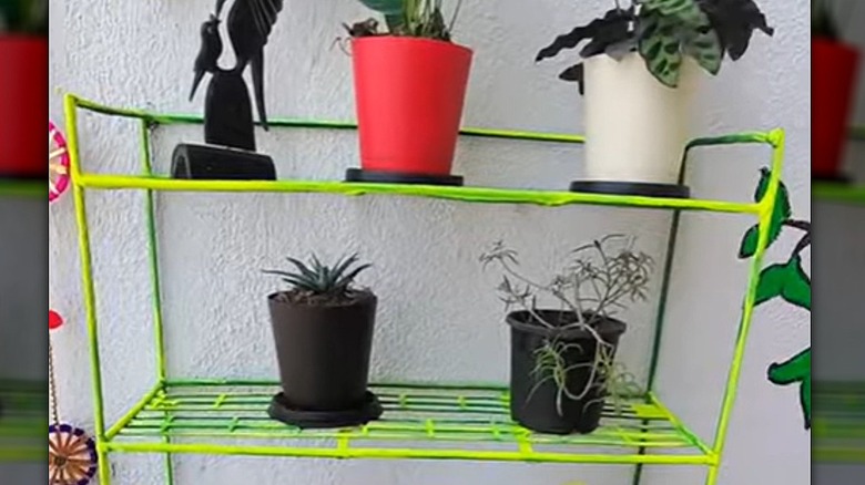 A metal shoe rack painted green and yellow hangs on an exterior wall and holds plants.