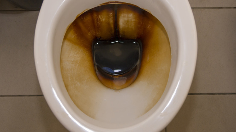 dirty, rusty toilet 