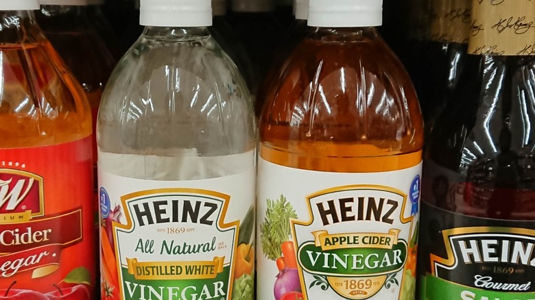 Close-up of Heinz vinegar bottles on a grocery store shelf, including distilled white vinegar, apple cider vinegar, and gourmet varieties.