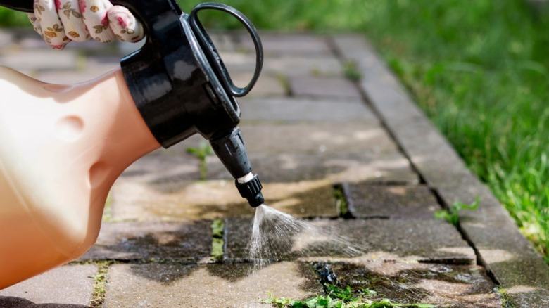Hand using a spray bottle to apply homemade weed killer on patio weeds