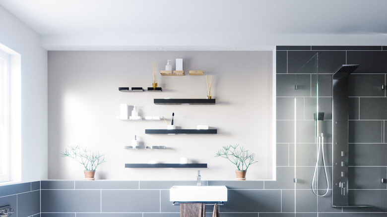 Shelves in a bathroom 