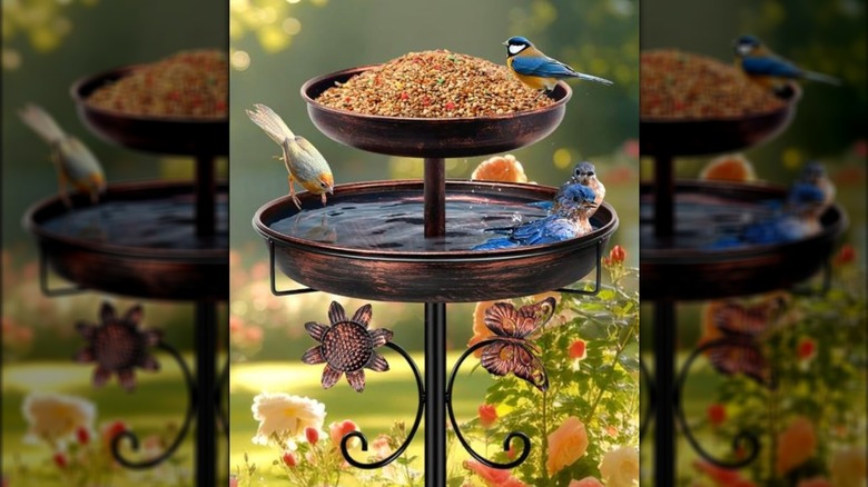 birds at two in one bird bath and feeder