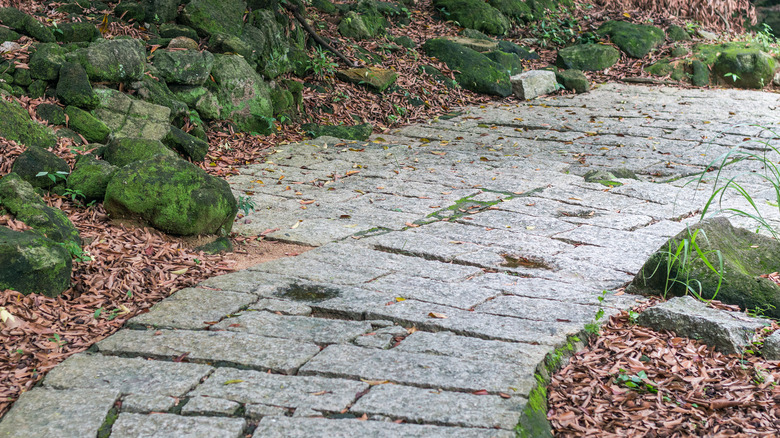 A bluestone walkway runs through a rock garden with overhanging trees.