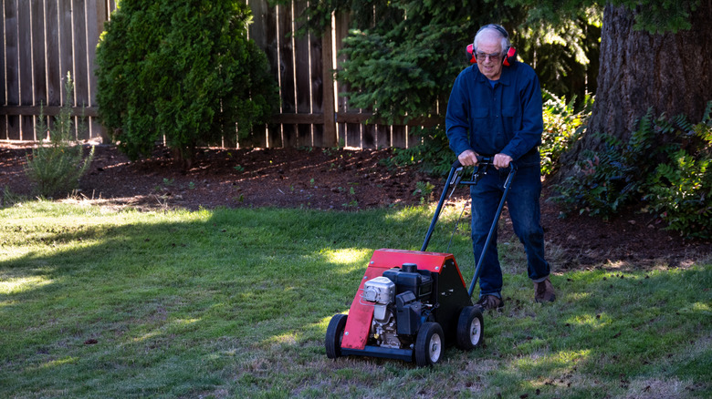 Older man aerating his lawn