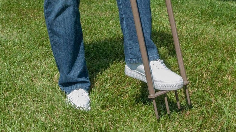 The Ames Steel Spike Aerator available from Home Depot