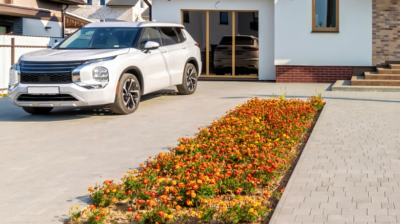 Flowers in middle of a paved driveway