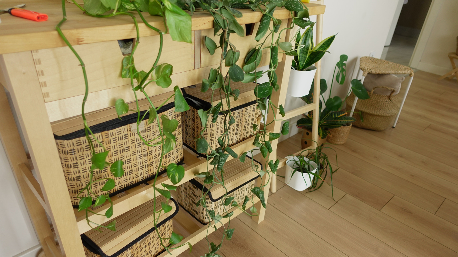 Ditch Cluttered Shelves: IKEA Has An Affordable Solution For Plants That Doubles...