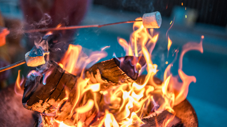 Roasting marshmallows over a firepit