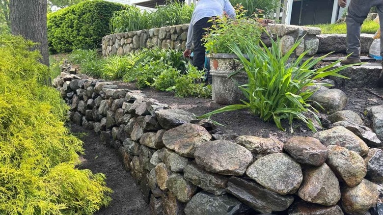 Low retaining walls made with stacked fieldstones and landscaping plants.