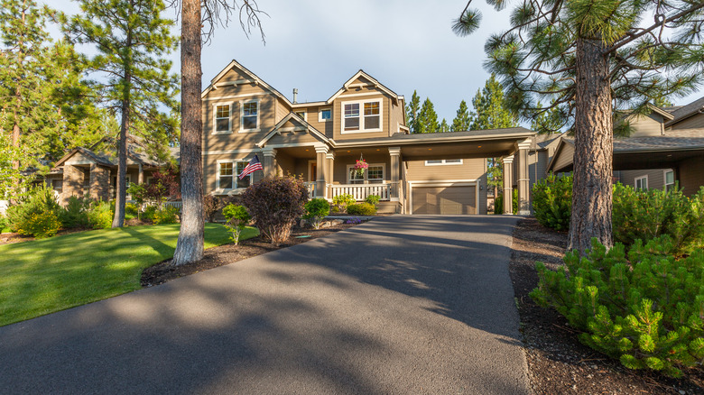 driveway leading to house with various plants
