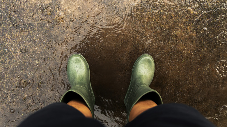 A person with rain boots standing in standing water