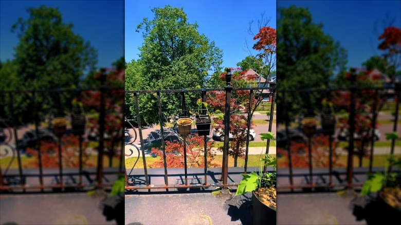 Screenshot of a wire basket and hook hanging on a porch fence