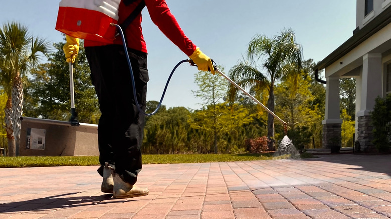 A man applying paver sealer with a low-pressure pump