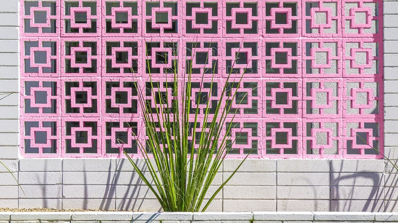 A pink breeze block wall behind yucca plants