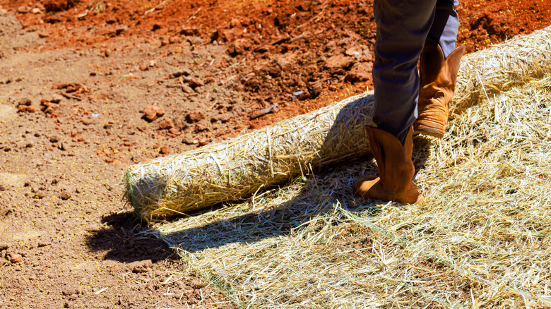 A person rolling out a straw-coconut blanket in the garden