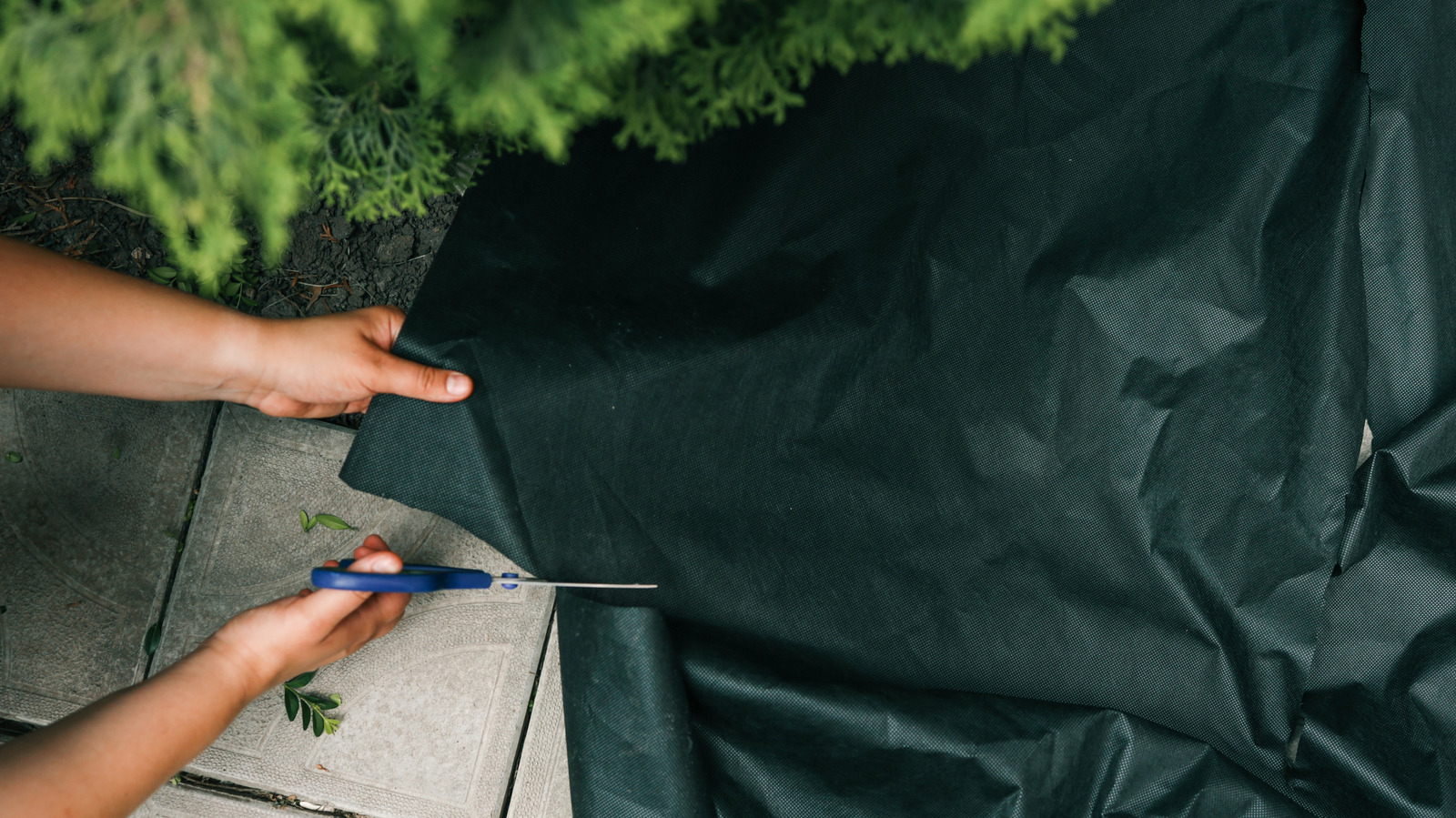 Ditch Landscape Fabric For A Biodegradable Alternative That Retains Moisture
