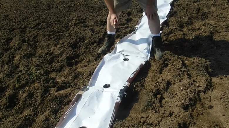 Person arranging woven poly feed bags as landscape fabric in a dirt plot