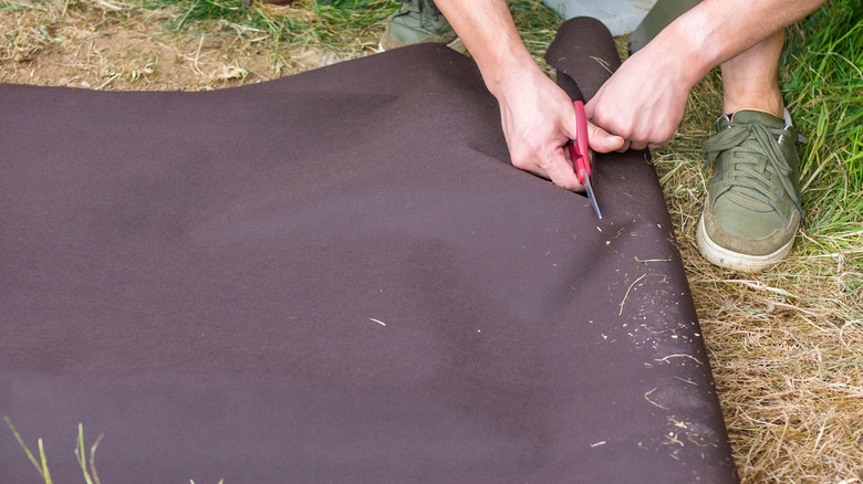 A gardener cutting a length of landscape fabric from a roll
