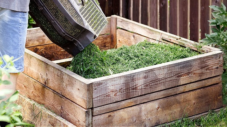 Person pouring grass clippings into a raised flower bed