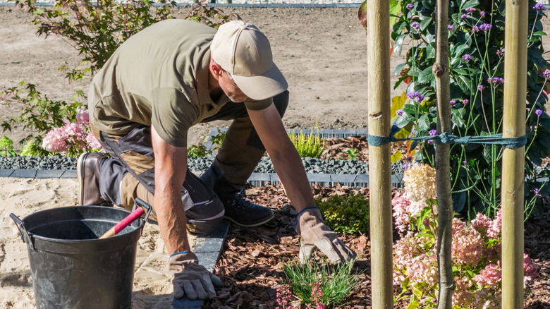A man kneeling beside a mulched garden bed.