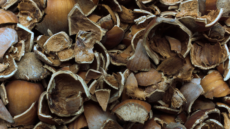 Crushed hazelnut shells up close.