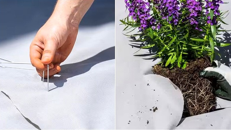 A person installing the Vigoro landscape fabric