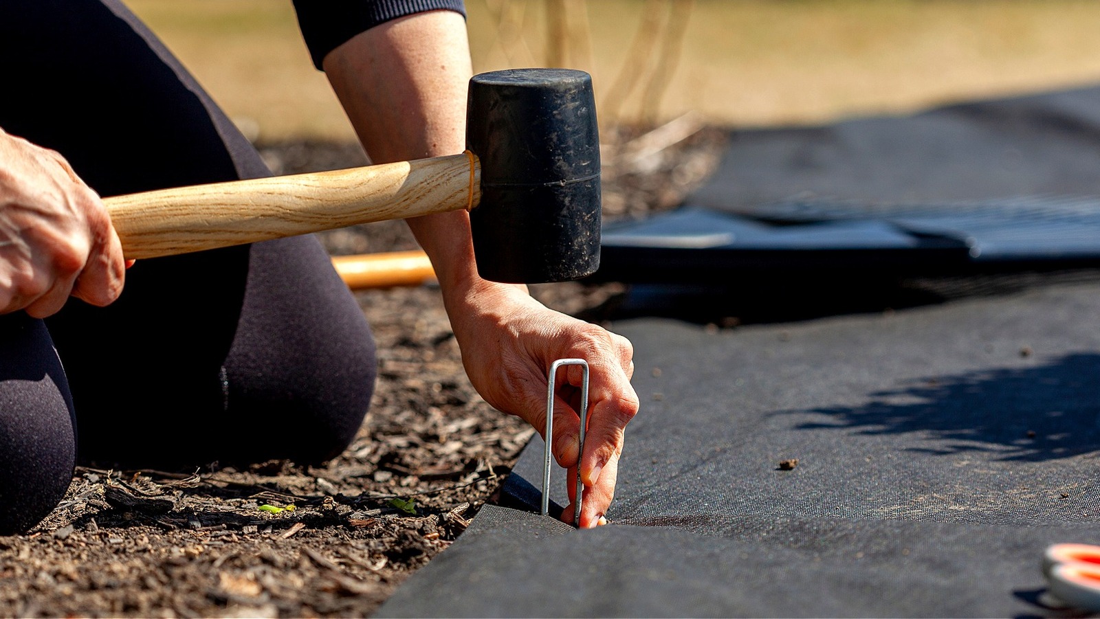 Ditch Landscape Fabric That's Weak: This Heavy-Duty Home Depot Find Keeps Weeds ...