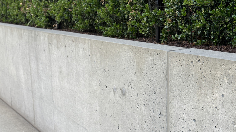 A plain concrete retaining wall.