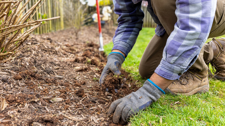 A gardener prepares a garden bed to install edging.