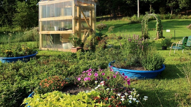 Three blue plastic kiddie pools used as garden beds in a spacious landscaped yard.