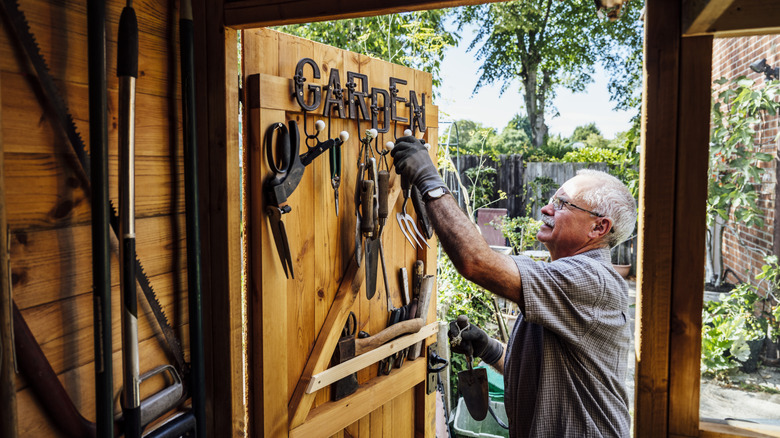 Man grabbing things from the inside of a shed