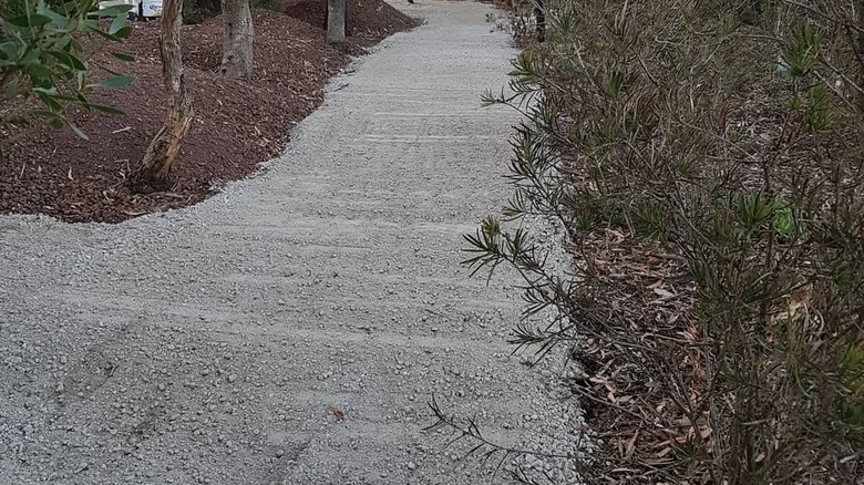 Crushed concrete driveway path winding along trees