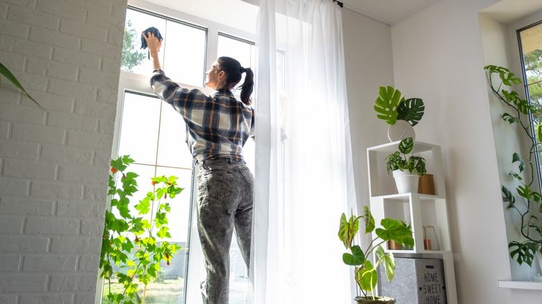 Woman washes sunny window