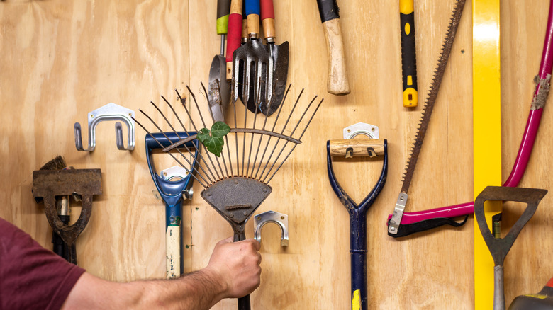 A person holding a rake in front of wall-mounted garden tools