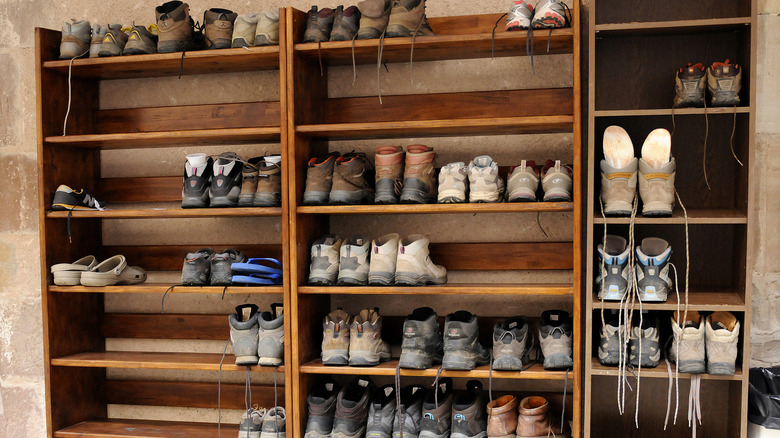Variety of shoes sitting on wooden shelves